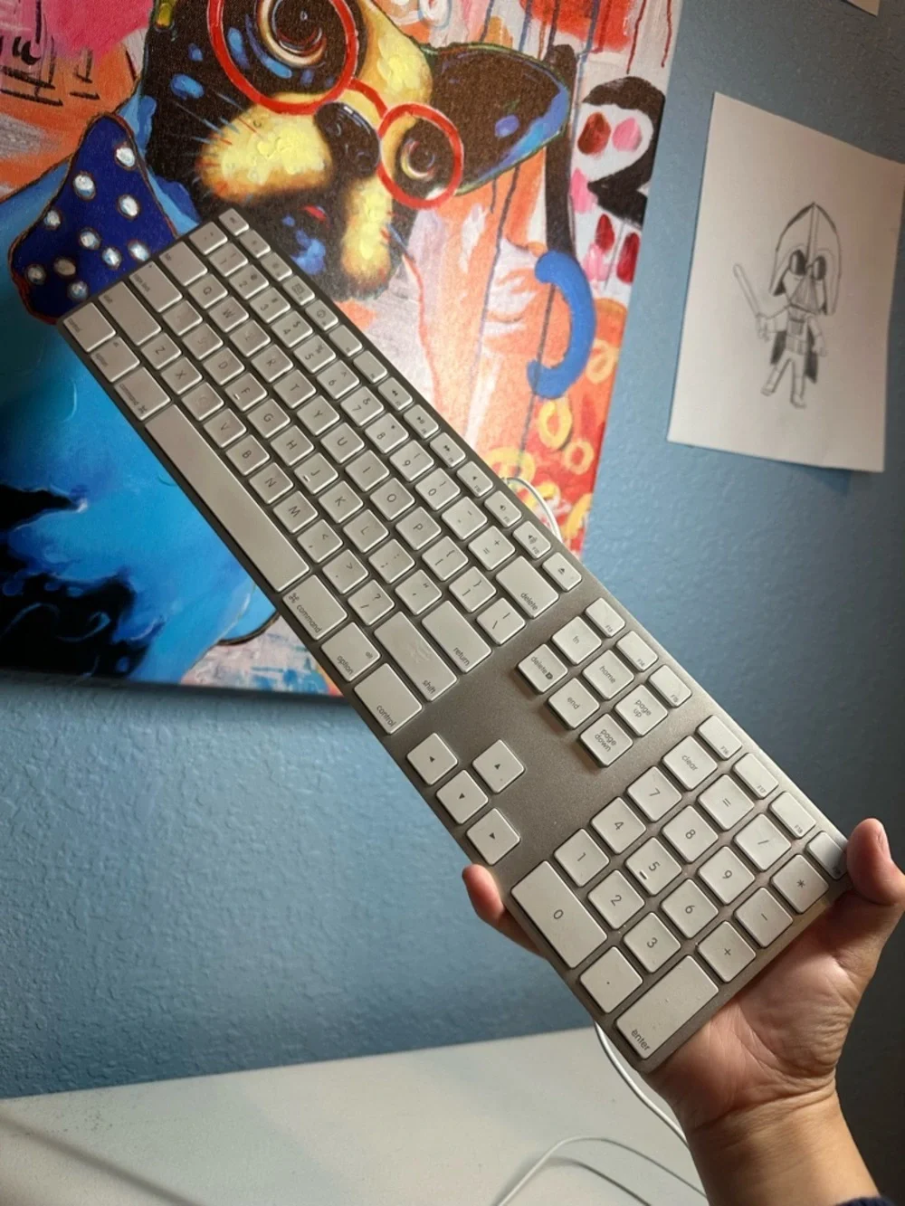 Apple mac model